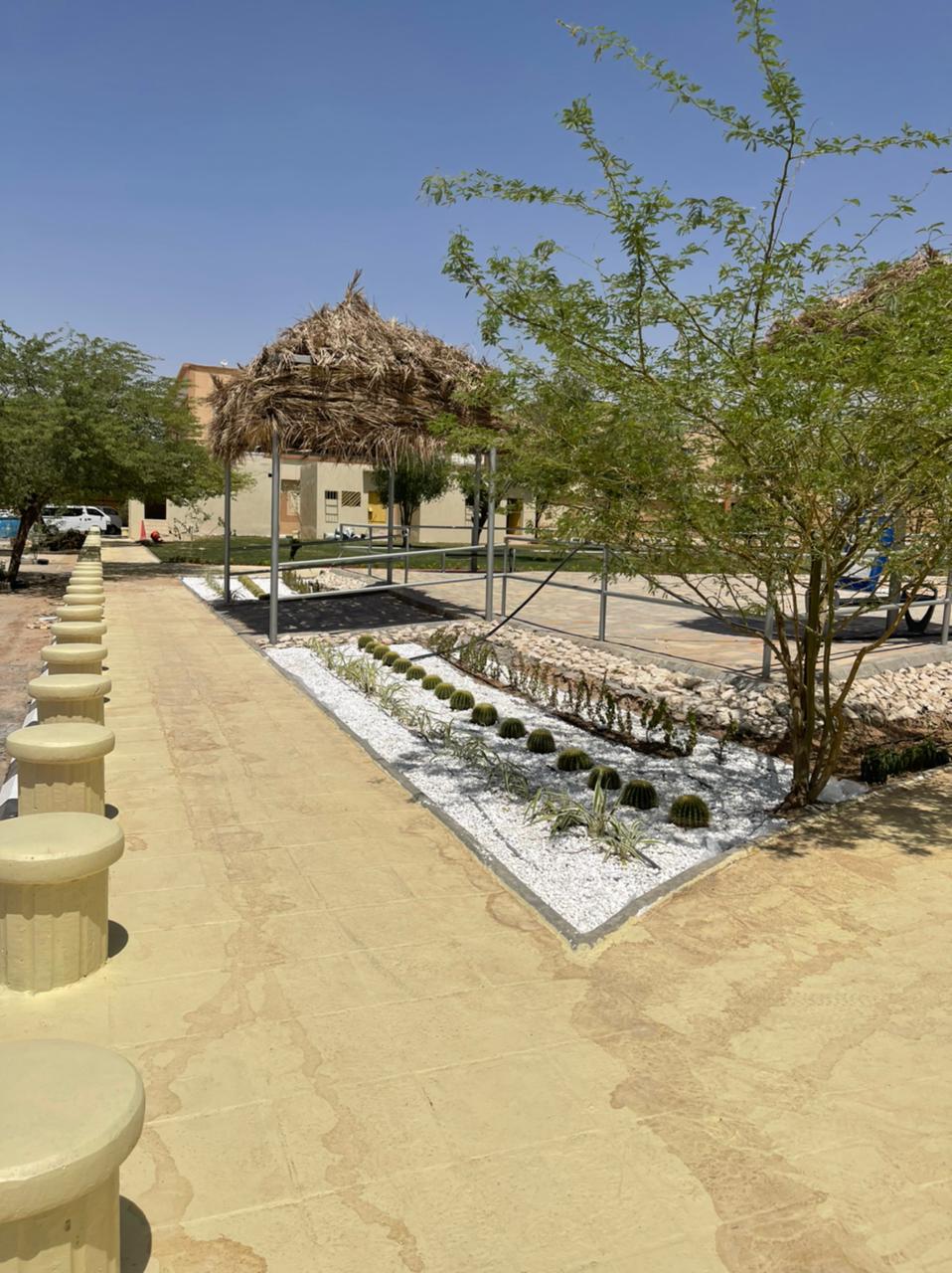 صورة المعرض